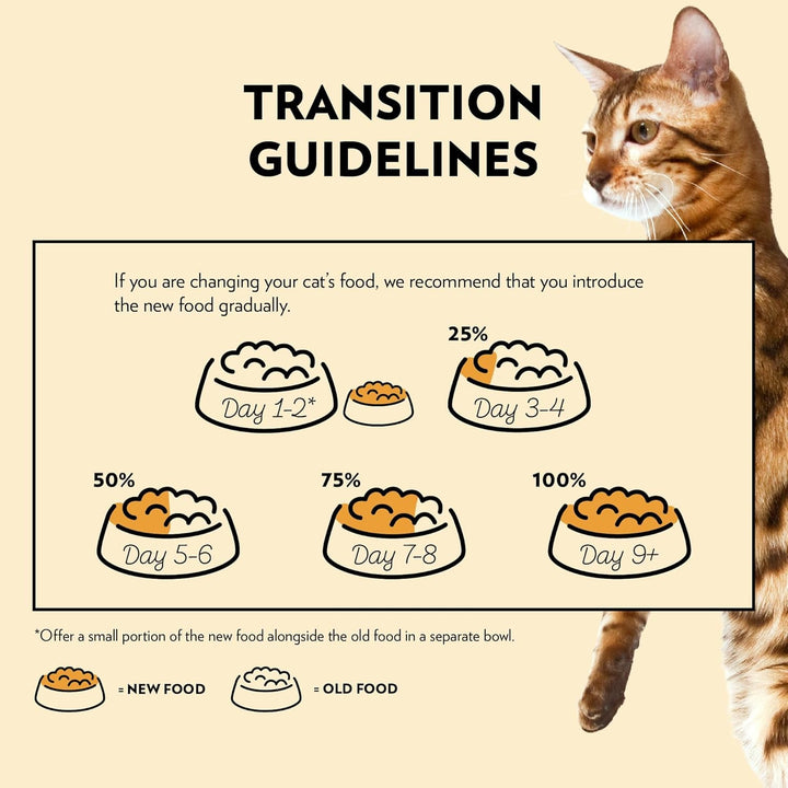 Primacat - Hrană umedă Classic pentru pisici, cu aromă de pasăre în sos, 28 X 85 G