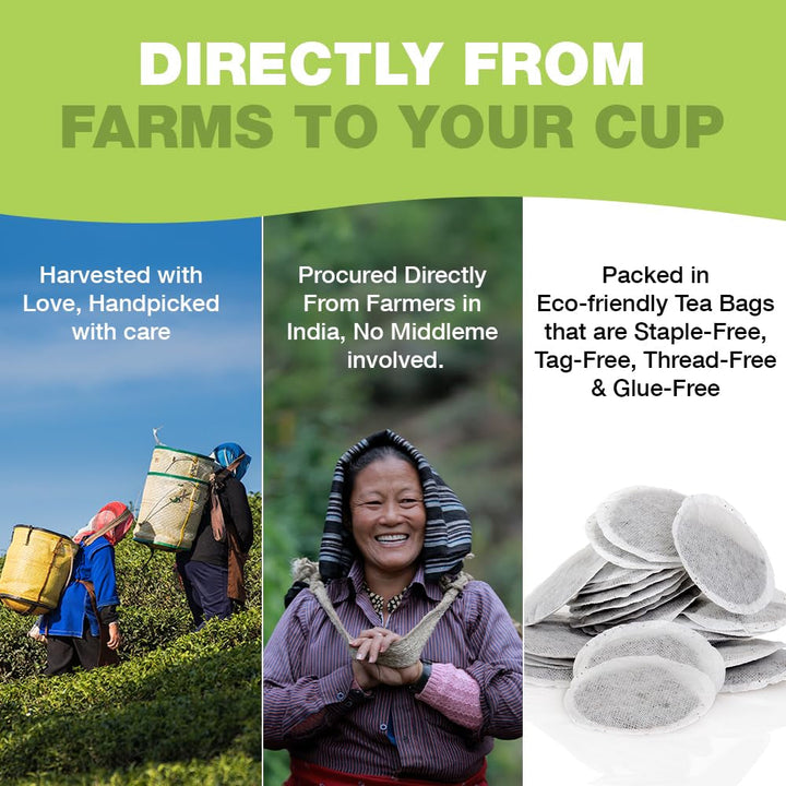 HANDPICK, pliculețe de ceai verde (100 pliculețe) Fără gluten și ceai verde pur | Pliculețe rotunde de ceai verde, fără adeziv, fără înălbitor, fără sfori | Ceai fierbinte/Kombucha sau infuzat la rece | Ceai verde