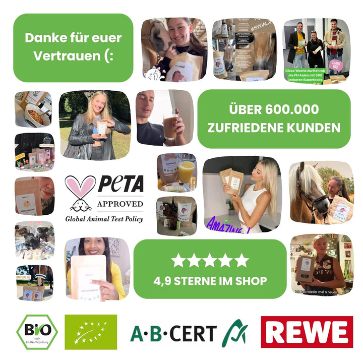 Ceai Matcha organic pudră premium 100 g Ceai verde de cea mai înaltă calitate din Japonia Kagoshima - perfect pentru smoothie Matcha Latte Ceai verde japonez Vegan Fără aditivi Ambalat fără plastic