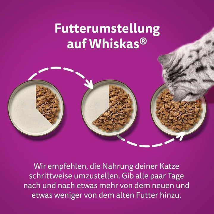 Whiskas Adult 1+ Hrană umedă pentru pisici Selecție mixtă în jeleu, 84 pliculețe, 84X85G (1 pachet vrac) - Hrană umedă de înaltă calitate, Pentru pisici adulte