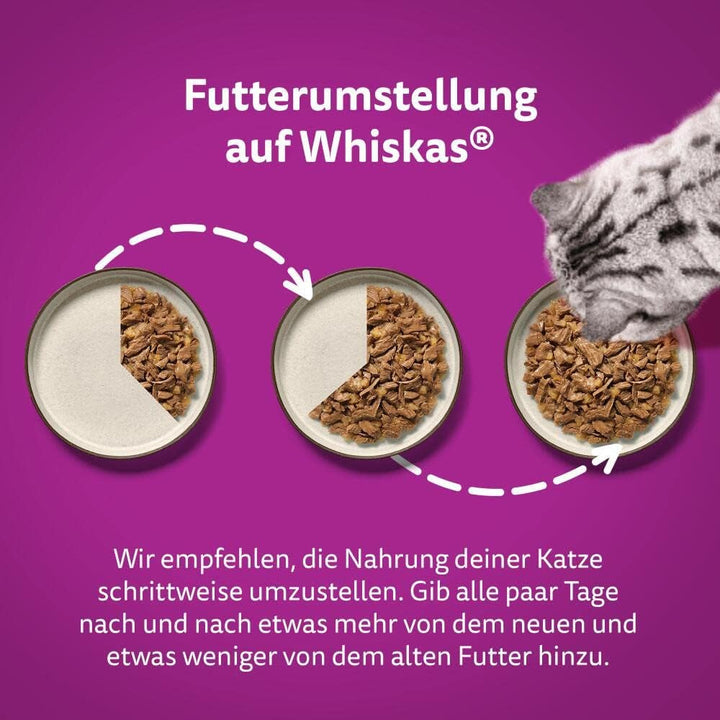 Whiskas 1+ hrană umedă pentru pisici Ragout Poultry Selection in Jelly, 40X85G (1 pachet) - Hrană umedă de înaltă calitate pentru pisici adulte în pungi de 40 de porții