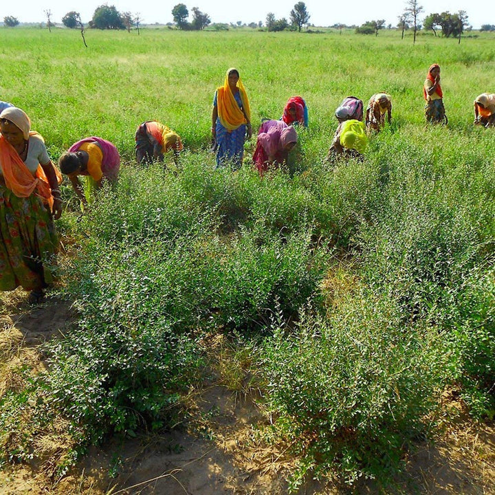 Henna - Cupru - Culoarea naturală a părului și îngrijirea părului - Pulbere - 200g Vopsea pentru par Naty Shop