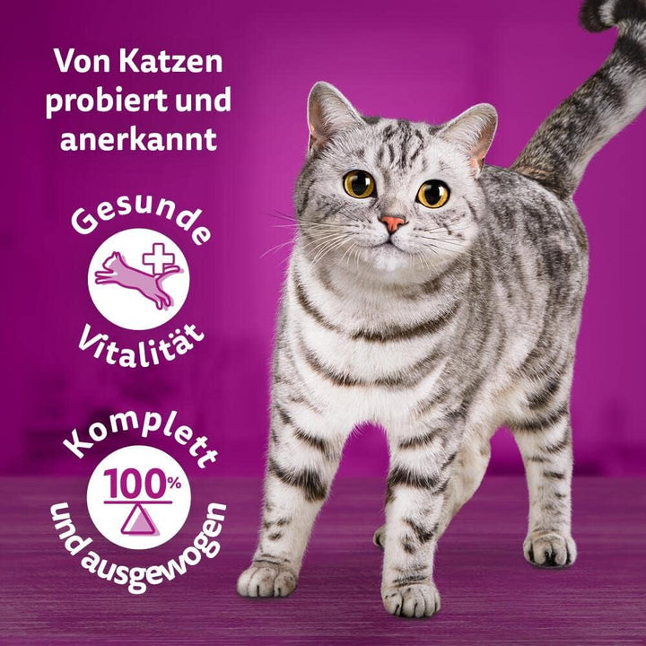 WHISKAS 1+ Hrană umedă pentru pisici - De la 1 an - 40X85G săculeți - Hrană umedă pentru pisici în sos - Hrană umedă de înaltă calitate pentru pisici - pachet mare