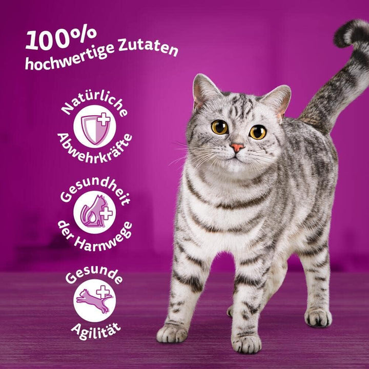 Whiskas Senior 7+ Hrană umedă pentru pisici Mixed Selection in Sauce, 48 de pliculețe, 12X85G (pachet de 4) - Hrană umedă de înaltă calitate, pentru pisici de 7 ani și mai în vârstă