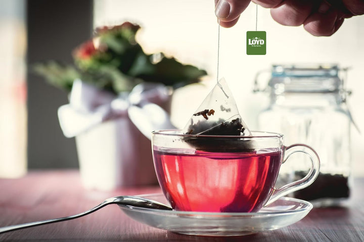 LOYD - Ceai de fructe Cranberry and Raspberry - 20 pliculețe piramidale - Amestec aromat de ceai de fructe cu afine, zmeură, frunze de mur - Gust dulce și intens - 40 g