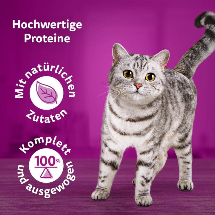 Whiskas 1+ hrană umedă pentru pisici Ragout Poultry Selection in Jelly, 40X85G (1 pachet) - Hrană umedă de înaltă calitate pentru pisici adulte în pungi de 40 de porții
