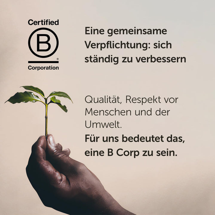 Cafea boabe Illy Arabica Selection Brasile Cerrado Mineiro: 100% din culturi regenerative certificate - cutie 250G Cafea Naty Shop